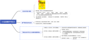 【提高孩子专注力】运动提升专注力