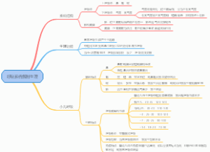 呼吸系统解剖生理