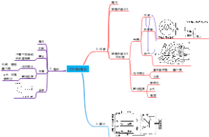 高中生物：内环境与稳态