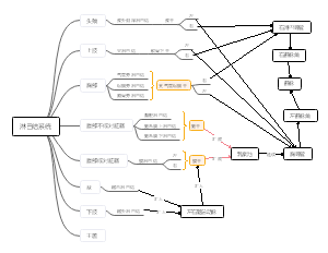 医学——淋巴结系统