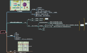 xlinx HLS