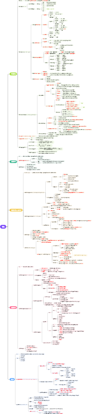 第二章第四节记忆