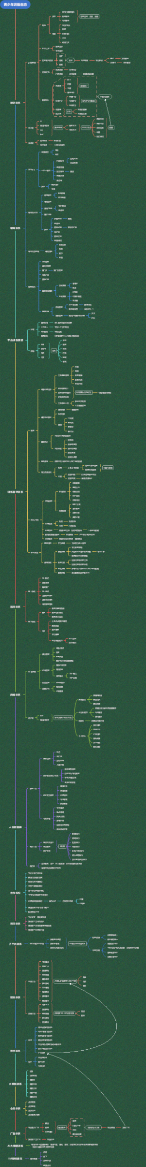 青少年体育训练生态系统