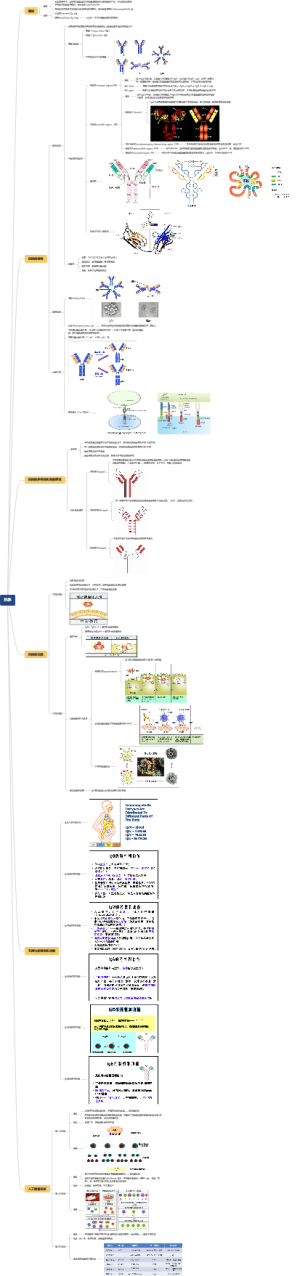 免疫学：抗体