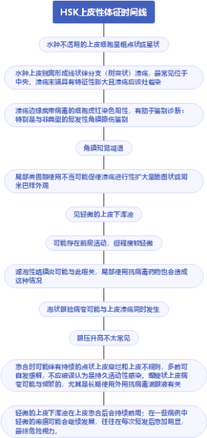 HSK上皮性体征时间线