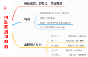 β-内酰胺酶抑制药