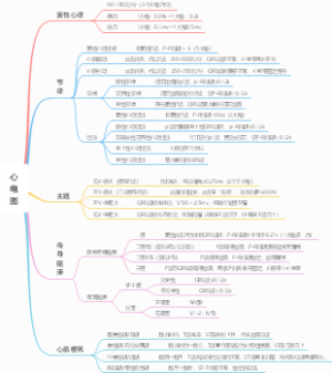 规培心电图