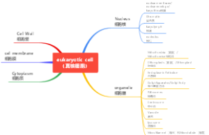eukaryotic cell （真核细胞），生物学英语