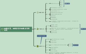 细胞分裂、细胞分化和细胞生长的比较