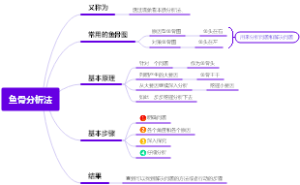 鱼骨分析法