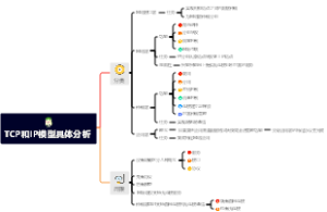 TCP和IP模型具体分析