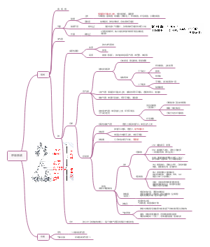 组胚——呼吸系统