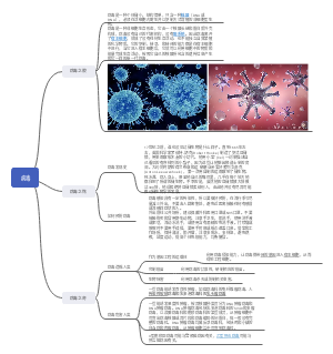 医学——病毒