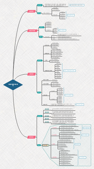 学前特殊教育理论基础