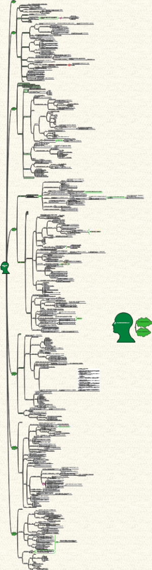 专利法【王京文】