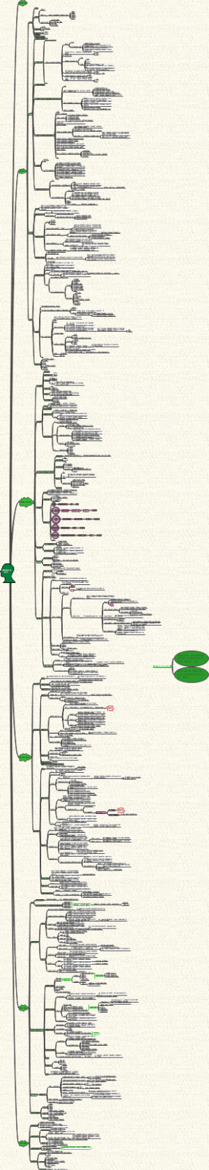 商标法【王京文】
