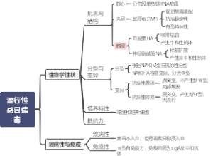 流行性感冒病毒