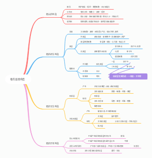 根的显微构造