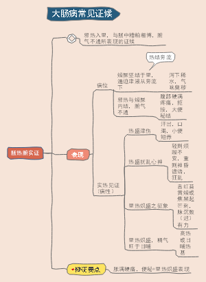 肠热腑实证