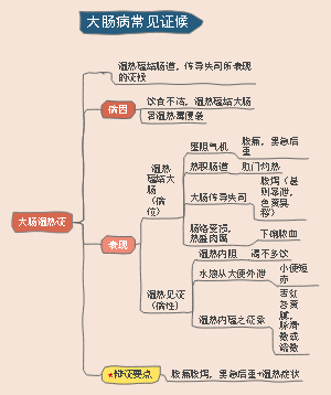 大肠湿热证