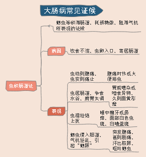虫积肠道证