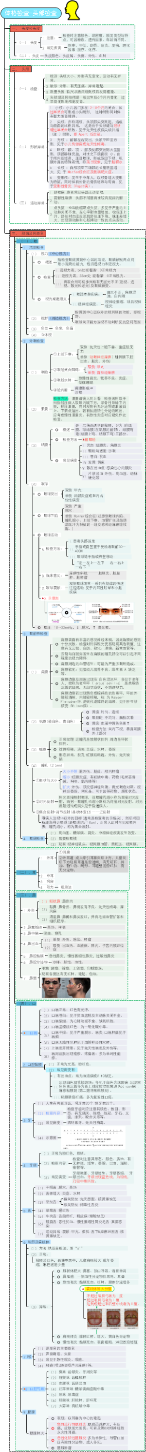 诊断学—体格检查-头部检查