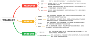 神经元编码信号方式