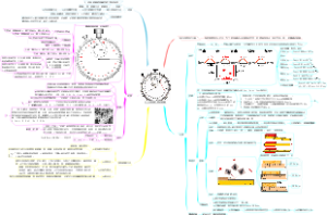 八年级上册物理1.1 长度和时间的测量思维导图