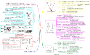 八上物理4.2光的反射思维导图