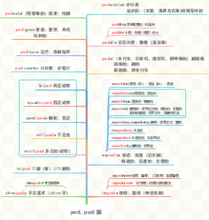 ped, pod 脚思维导图