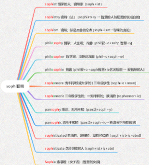 soph 聪明