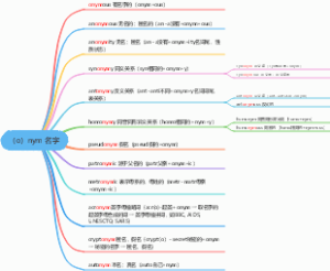 英语-（o）nym 名字