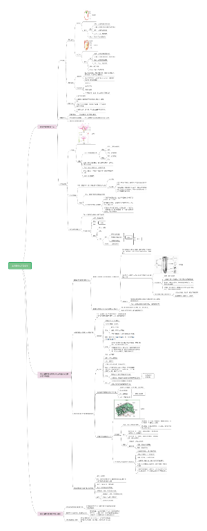 生物圈中的绿色植物