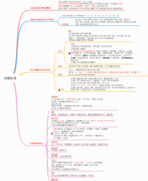 3、妊娠生理