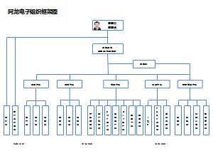 阿龙电子组织框架图