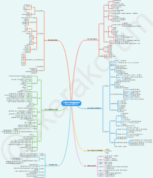 8.心理学-心理咨询基本技能