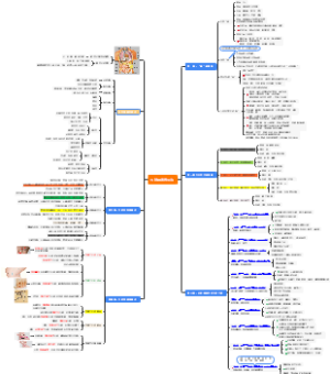 五脏排毒养生法思维导图