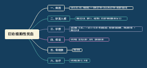 《内科学》3.巨幼细胞性贫血