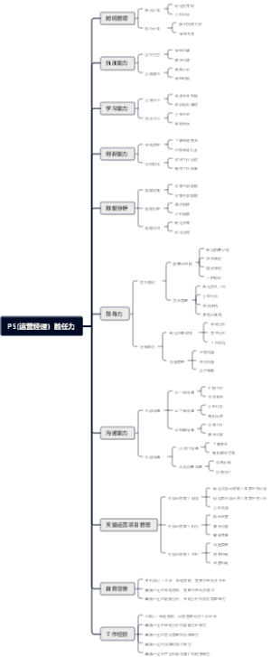 P5运营经理胜任力