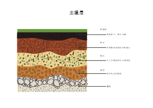 土壤层模板