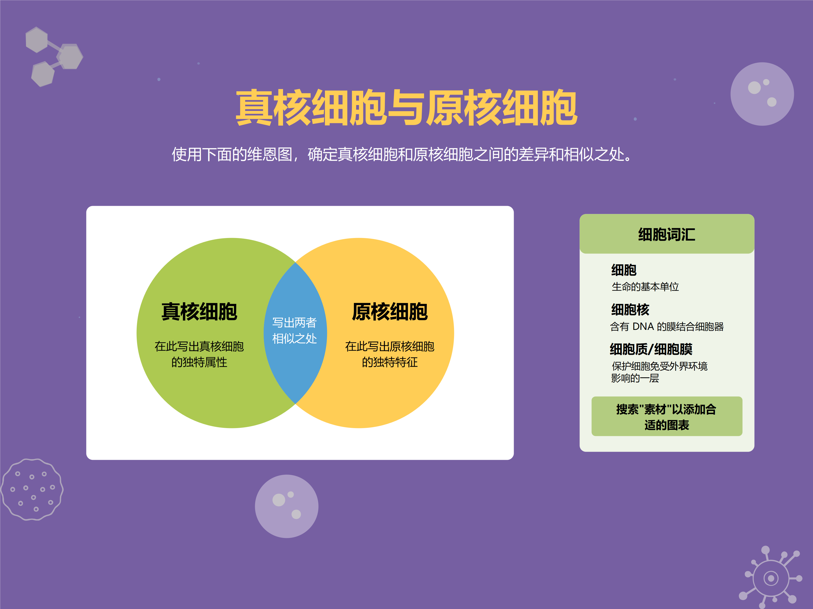 真核细胞与原核细胞的差异和相似之处