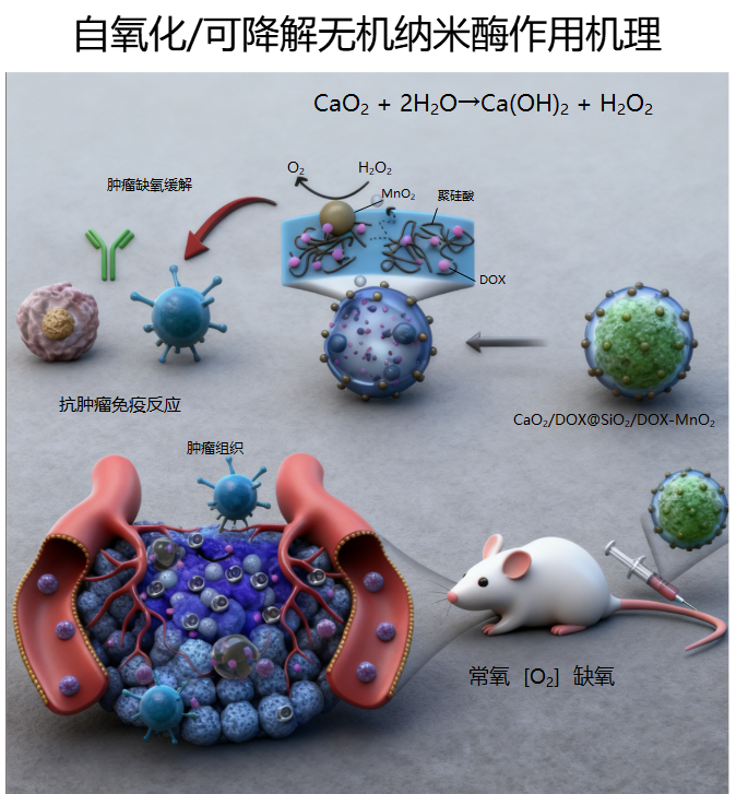 自氧化可降解纳米酶机理图