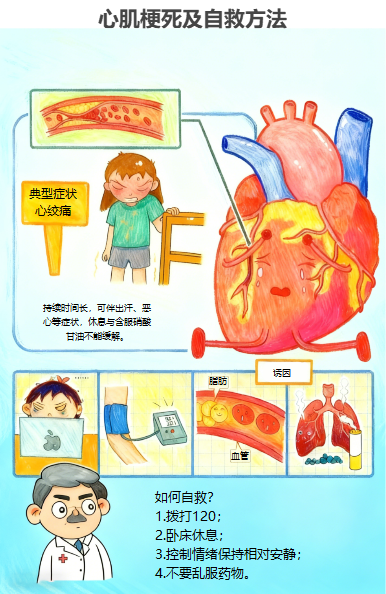 心肌梗死及自救方法插画