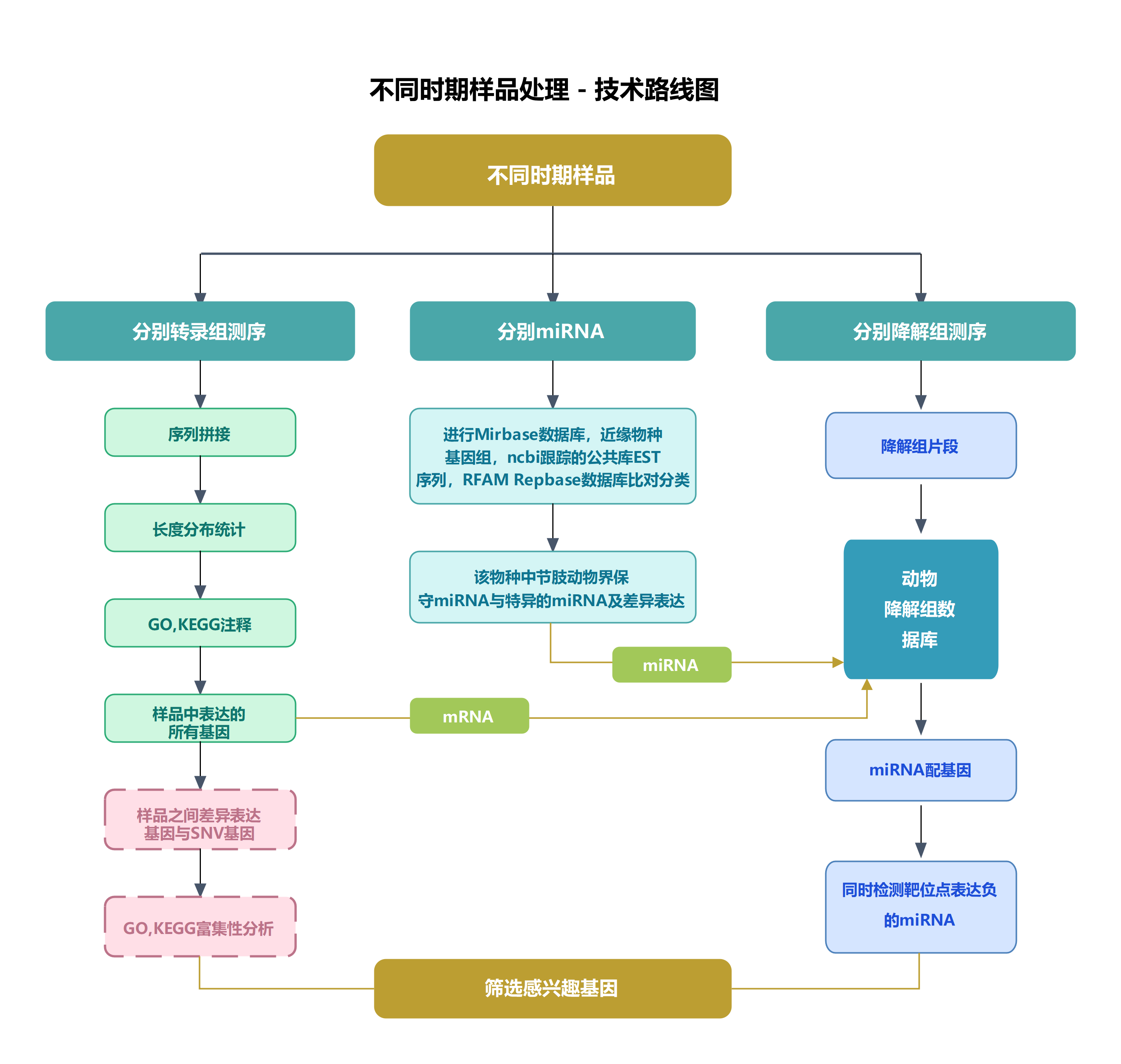 不同时期样品处理技术路线图