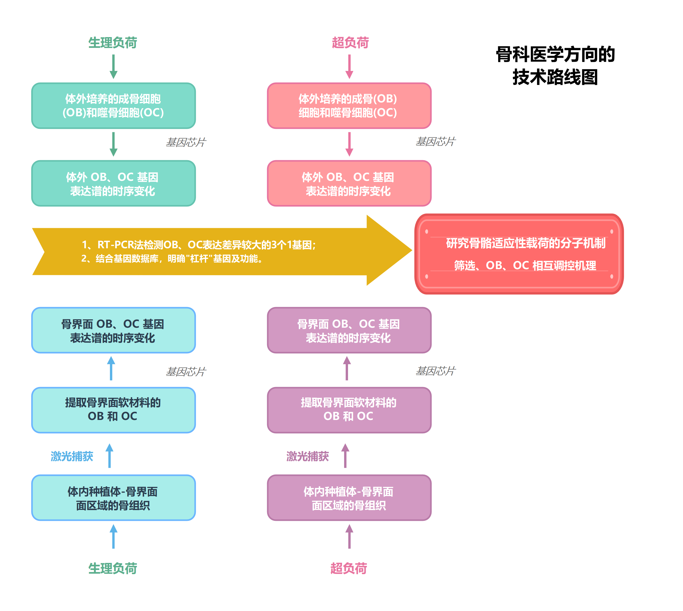骨科医学技术路线图