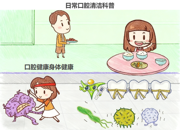 日常口腔清洁科普手绘