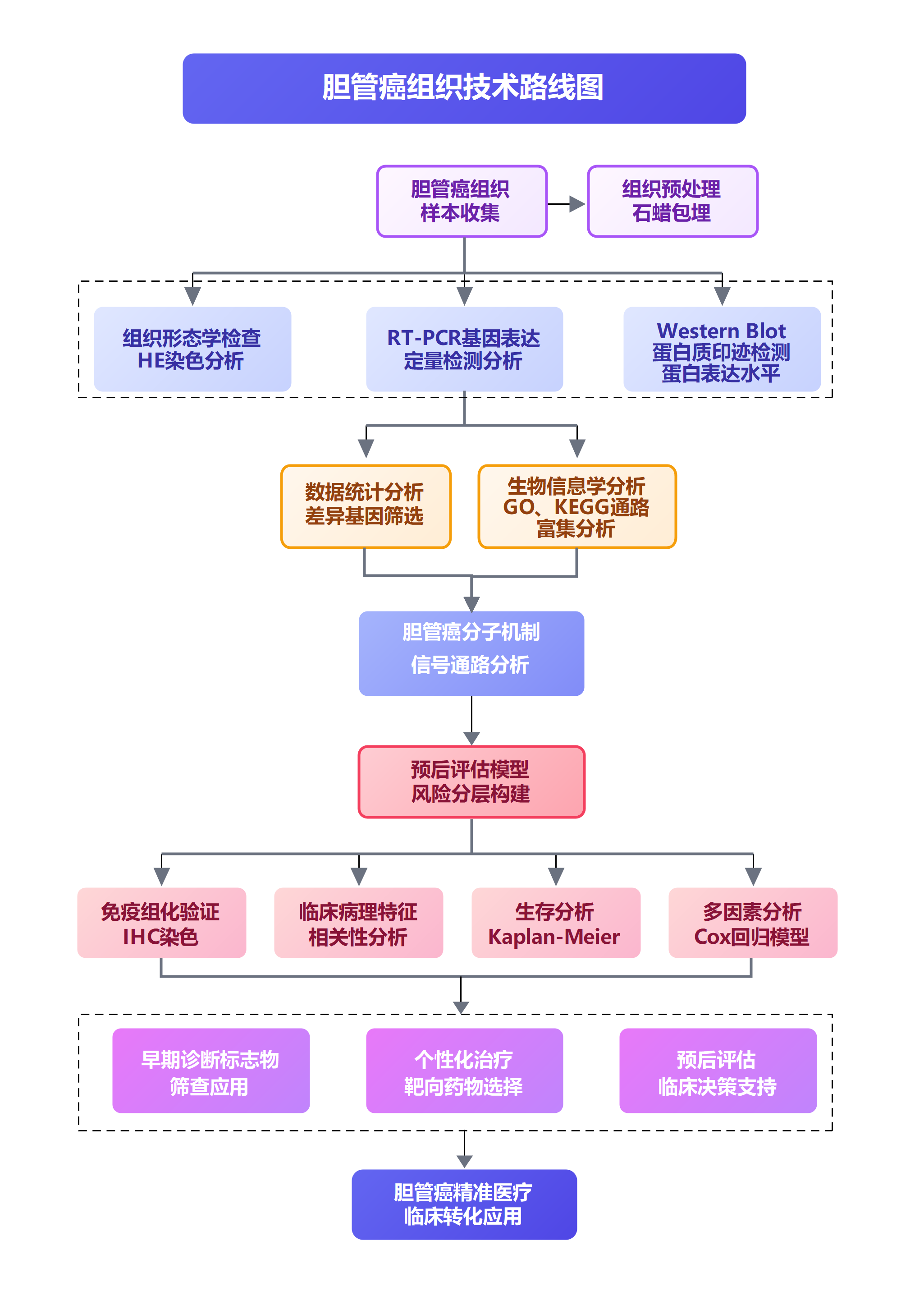 胆管癌组织研究技术路线图