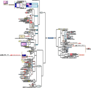 细胞和组织的适应与损伤