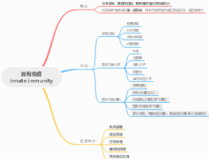 固有免疫innate immunity