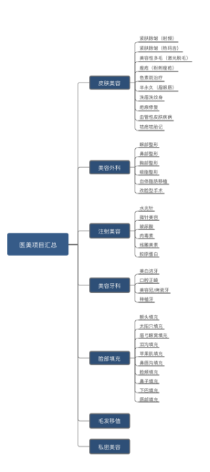 医美项目